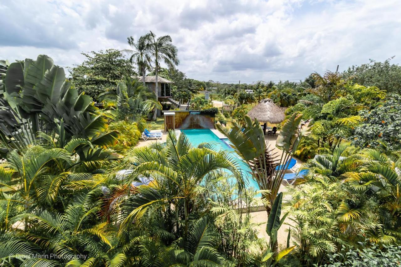 קורוזאל Almond Tree Hotel Resort מראה חיצוני תמונה
